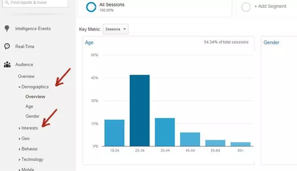 google-analytics-demographics-and-interest-report