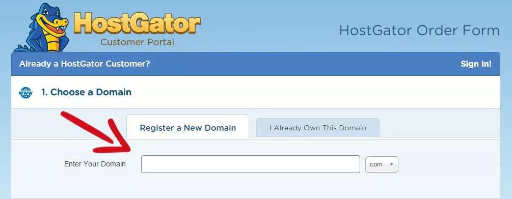 domain-registration